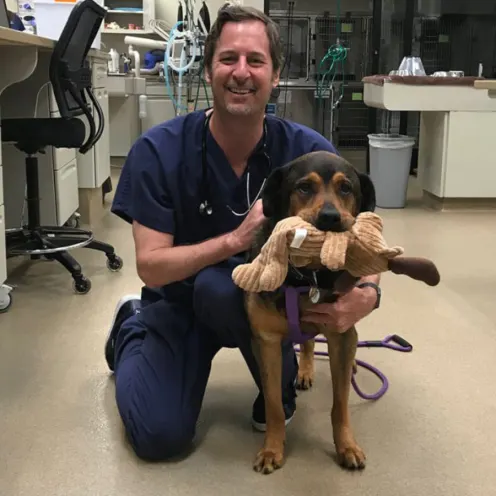 Dr. Hughes kneeling with a tan and black dog holding a toy in its mouth